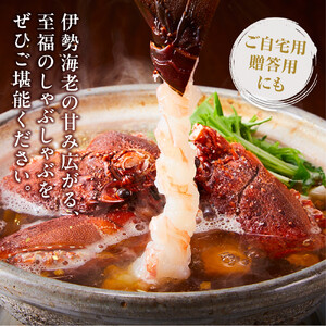 伊勢海老海鮮鍋しゃぶしゃぶセット(3～4人前)  イセエビ【伊勢海老】
