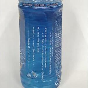 ミネラルウォーター巌聖水6500(がんせいすい6500)　(500ml×24本入り)