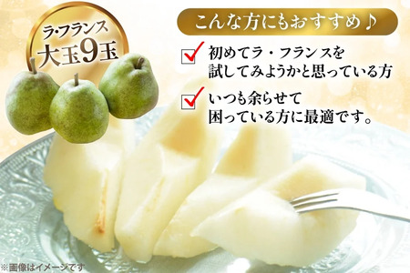 【期間限定発送】 ラ・フランス 山形県 セレクション品 ラ・フランス 9玉 3kg [三鷹洋梨園 山形県 高畠町 tk06ays910000]
