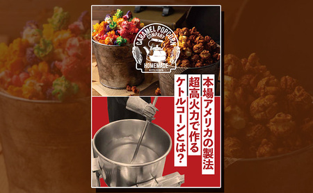 とにかく濃い！二度漬け！キャラメルポップコーン！×2 ポップコーン キャラメル スイーツ 菓子 かわいい おしゃれ プレゼント ギフト 大田区 東京都
