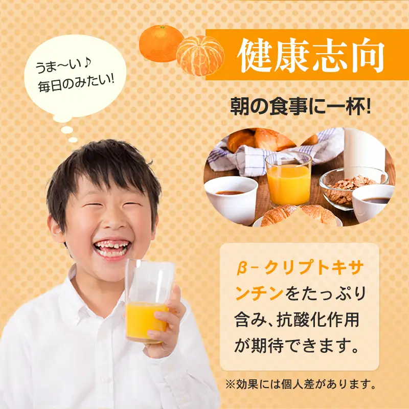 佐賀県産みかん使用 みかん100（ 紙パック 1L×6本） ジュース B110-044