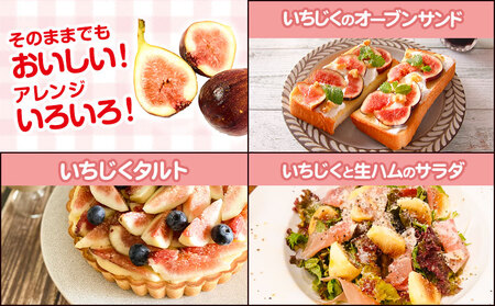 【先行予約】紀の川産 いちじく 秀品 約1.2kg 約300g×4パック WAT農園《2026年8月中旬-11月中旬頃出荷》 和歌山県 紀の川市 イチジク 無花果 フルーツ 果物