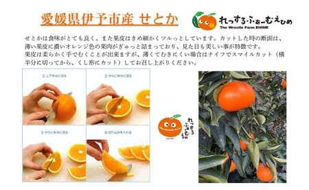 【2027年先行予約】みかん 愛媛県 せとか 5kg ご家庭用 訳あり レッスルファーム 【2027年1月下旬より順次発送】 数量限定 おすすめ 美味しい おいしい グルメ フルーツ くだもの 愛媛県産 人気 柑橘 伊予市｜B420