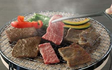 長崎和牛 焼肉用 食べ比べ （カルビ約500g ロース約500g） 約1kg 和牛 牛肉 焼肉