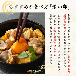 i1075-B いずみどり 親子丼の具 (5袋) 親子丼 レンジ おかず 丼 鶏肉 鶏 卵 冷凍 簡単 調理 電子レンジ 国産 安心 安全 ご飯のお供 手作り 【三喜】