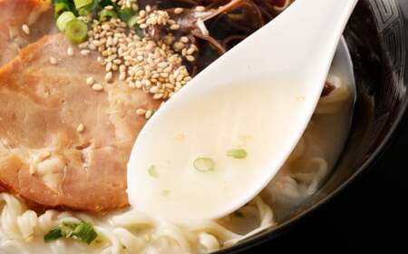 九州の味 豚骨ラーメン2種×5食セット（合計10食）（うまかっちゃん5食・屋台ラーメン5食）  岡垣町 ラーメン 麺類