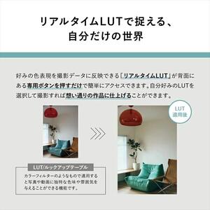 パナソニック フルサイズミラーレス一眼カメラ ルミックス DC-S9N-D カメラ