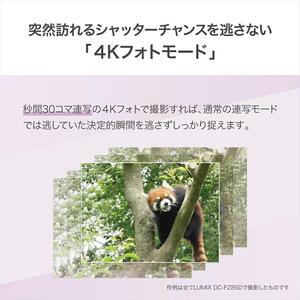 パナソニック コンパクトデジタルカメラ ルミックス　DC-FZ85D カメラ