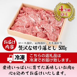 曽於さくら牛 黒毛和牛 贅沢 切り落とし (合計500g)【福永産業】A660
