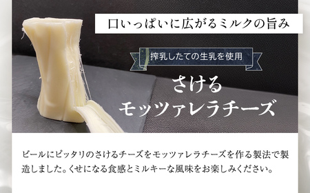 小江戸佐原　クラフトビール&チーズセット /  / ビール クラフトビール チーズ セット おつまみ 晩酌 モッツァレラチーズ カチョカバロ さけるモッツァレラチーズ ペールエール ニューイングランドIPA ホワイト ブラック INO001