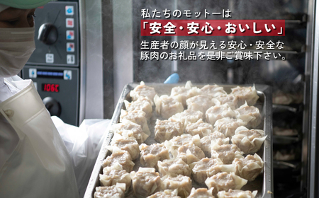 【訳あり】千葉県香取市産三元豚　大粒肉焼売 20個【1kg(50g×20個入)】 / 三元豚 焼売 しゅうまい シュウマイ 手包み 中華 大粒 国産 豚肉 おかず つまみ お弁当 お取り寄せ 千葉県 香取市 JLB003
