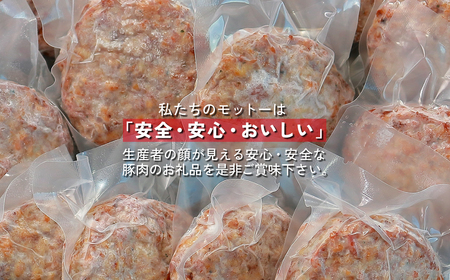 千葉県香取市産三元豚　フランクバーグ(フランクハンバーグ)1.2kg(100g×12個)   / 三元豚 ハンバーグ はんばーぐ 小分け 個包装 個別 個別包装 湯せん 電子レンジ 味付き 国産 豚肉 おかず つまみ お弁当 お取り寄せ 千葉県 香取市 JLB005