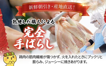野菜付き!水郷どり水炊き鍋セット(鶏つみれ650g付き)/鶏肉専門店「水郷のとりやさん」 / / 水炊 水炊き みずたき つみれ 鶏つみれ とりつみれ 鶏団子 野菜セット セット 詰合せ 詰め合わせ STS003