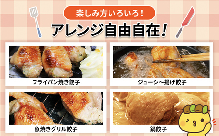 【毎月定期便】8秒に1本売れてます!手羽先餃子20本セット! 全3回 / 鶏肉専門店「水郷のとりやさん」 /  / 餃子 ぎょうざ てばさき てばさきぎょうざ てばぎょうざ てば 手羽 肉 お肉 手羽先 手羽餃子 ご当地 グルメ ご当地グルメ 大賞 おつまみ おかず お取り寄せグルメ おすすめ 惣菜 お惣菜 食品 加工食品 加工品 STS019