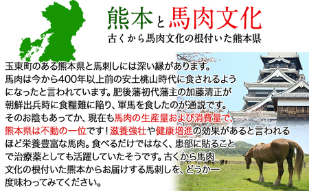 馬刺し4種の盛り合わせ《30日以内に出荷予定(土日祝除く)》  熊本県 菊池市 馬刺し 送料無料 肉