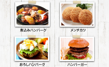 手作りハン馬ーグ 100g×10個 《30日以内に出荷予定(土日祝除く)》 馬肉100%配合！【熊本肥育】ハンバーグ たっぷり 冷凍 お中元 肉 お手軽 お取り寄せ