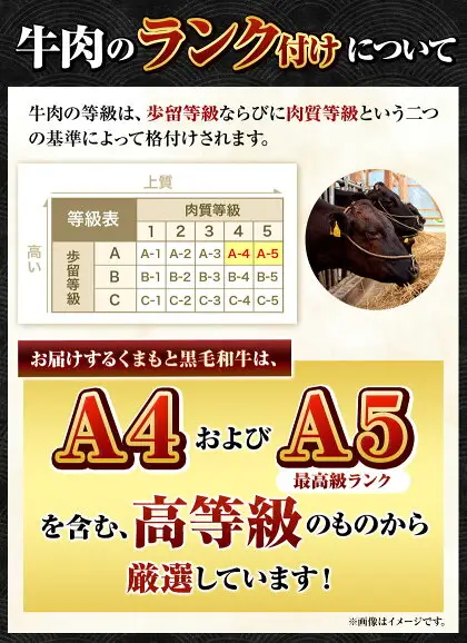 くまもと黒毛和牛 サーロイン リブロース 内モモ 希少部位 500g 牛肉 焼肉用 冷凍 《30日以内に出荷予定(土日祝除く)》 くまもと黒毛和牛 黒毛和牛 焼肉 肉 お肉 熊本県 菊池市
