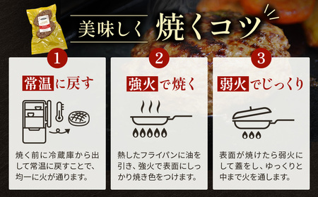 肉含有率80% 粗挽きハンバーグ 100g×10個 小分け 国産牛100％使用 北海道産牛 ハンバーグ