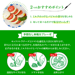 明治北海道十勝生モッツァレラ バジル仕立て 100g×6パック ナチュラルチーズ おつまみ サラダ 乳製品 お取り寄せ グルメ 送料無料 芽室町　me003-123c