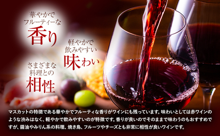 日本ワイン 750ml 1本 ワイン