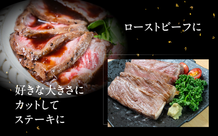 飛騨牛 モモブロック 500g 【22-38】