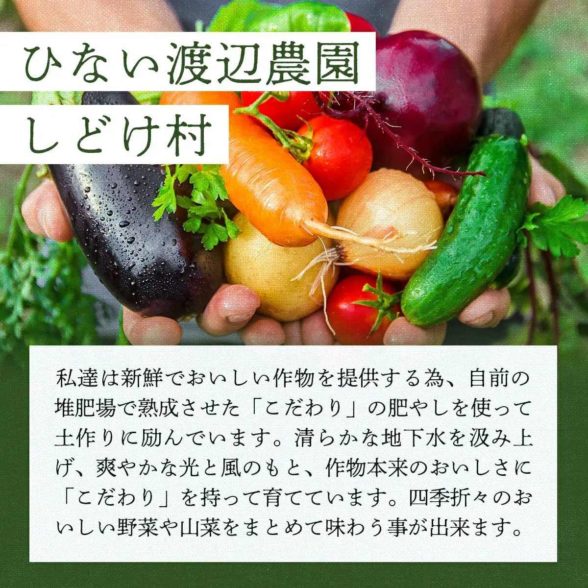 米野菜・山菜セット（5品目ほど）【115P3203】