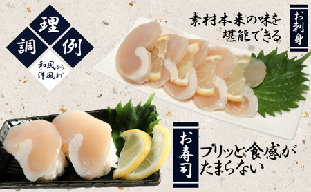 平貝 (タイラギ)約120g×3個 冷凍 平貝 タイラギ 貝 魚貝類 魚貝 タイラガイ 魚介 貝類 冷凍 BBQ タイラギ 貝 魚貝類