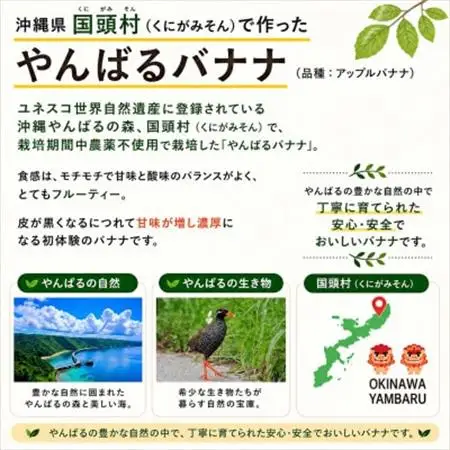 【栽培期間中農薬不使用】やんばるバナナ1.5kg(7～20本)【1579241】