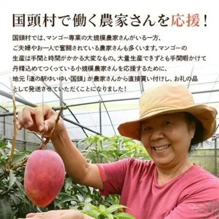 【2026年6月から順次発送】優品アーウィンマンゴー5kg(8～12玉)【配送不可地域：離島】【1584603】
