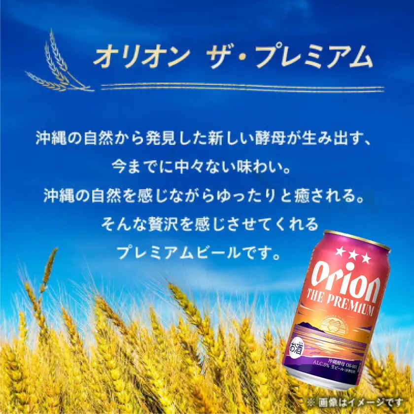 【毎月定期便】オリオン ザ・プレミアム(350ml×24本)全3回【4062057】