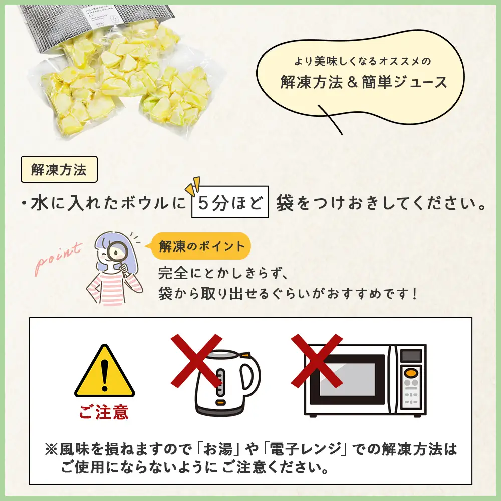 メロンジュースのもと 約800g 約165g×5パック メロン tn-0032