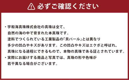 パール ピアス hitotsubuto 綯 ［伊予水引×あこや真珠］貝シリーズ アクセサリー 貝ピアス 真珠 本真珠 宇和島真珠 （864）