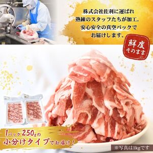 豚肉 切り落とし  涌谷町産 宮城野ポーク 豚切り落とし 1kg (250g×4p)【sari008】