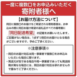 572.のし付【短冊のし　名入れ不可】あんぽ柿・ころ柿セット【化粧箱入り】合計１２個入り ※2024年11月中旬頃より順次発送予定