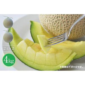 【先行予約】920.【青肉系メロン】ディーバ×２玉（1玉2kg前後×2玉）※離島への配送不可（北海道、沖縄本島は配送可能）