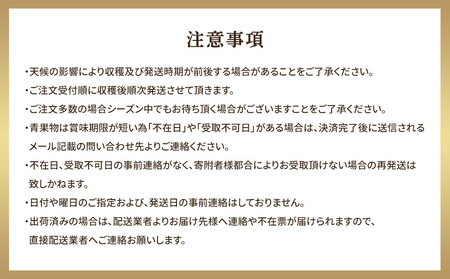 【先行予約】【訳あり】王秋梨 4kg（4～13玉前後）※2026年10月下旬～12月上旬頃に順次発送予定 【梨 なし 果物 フルーツ くだもの 鳥取県産 北栄町 おすすめ 人気】