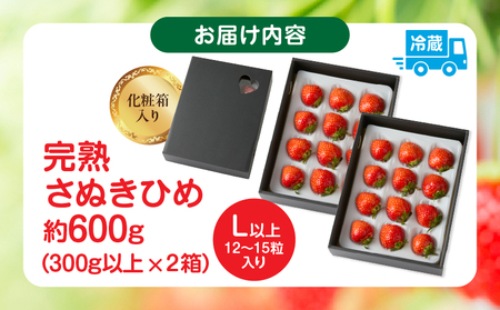 【先行予約】完熟さぬき姫 約600g | いちご 苺 さぬき姫 さぬきひめ 香川県オリジナル 希少 甘い 完熟 フルーツ 果物 旬 香川県 三木町 |_mk035-007