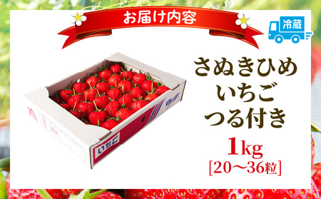 【先行予約】三木町地域いちご部会『さぬきひめ』　つる付き　1kg | スイーツ いちご ストロベリー イチゴ さぬき姫 さぬきひめ 苺 甘い 冷蔵 1kg以上 フルーツ 旬 果物 香川県 デザート 青果物 贈答 プレゼント 贈り物 おすすめ |_mk006-014