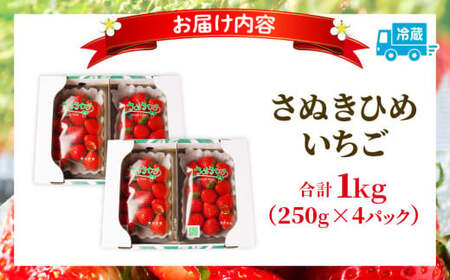 【先行予約】三木町地域いちご部会「さぬきひめ」1.0kg |いちご 苺 ストロベリー さぬき姫 さぬきひめ 香川県 香川県オリジナル 希少 甘い フルーツ 旬 果物 スイーツ 冷蔵 1kg以上 デザート 青果物 贈答 プレゼント 贈り物 おすすめ |_mk006-015