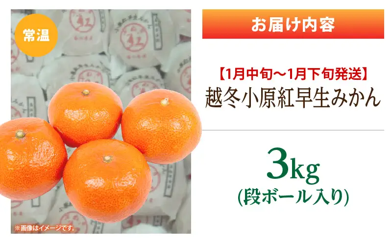【先行予約】越冬小原紅早生みかん　3kg【香川県共通返礼品】|みかん フルーツ 果物 果実 小原紅早生 デザート 贈答 贈り物 柑橘 柑橘系 グルメ 人気 おすすめ 旬 旬のみかん 季節 季節のみかん 柑橘果物 果汁 香川県 三木町 送料無料|_mk025-001