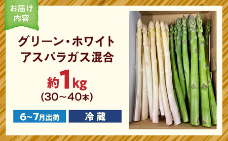 グリーン・ホワイトアスパラガス約1kg（6～7月出荷） | ホワイトアスパラ アスパラガス グリーンアスパラ アスパラ 野菜 生野菜 夏野菜 直送 新鮮 おすすめ 柔らかい  香川県 三木町 |_mk002-004