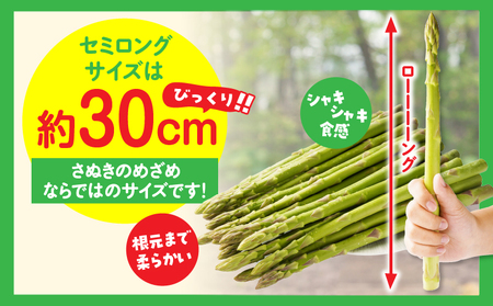【先行受付】香川オリジナルアスパラガス「さぬきのめざめ」(セミロング)夏芽 約700g | 野菜 アスパラ アスパラガス さぬきのめざめ 料理 柔らかい 夏 冷蔵 新鮮 香川県 三木町 セミロング おすすめ |_mk006-028
