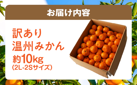 【先行受付】訳あり温州みかん約10kg（2L-2S) | みかん 温州みかん 果物 果実 訳あり 訳ありみかん 訳あり果物 訳ありフルーツ フルーツ 香川県 三木町 |_mk006-032