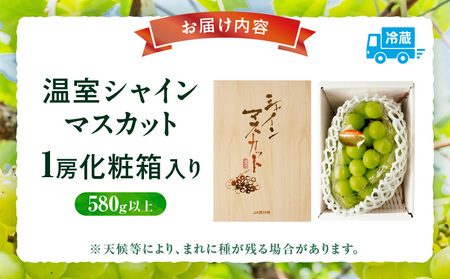 【先行受付】温室シャインマスカット　1房化粧箱入り(580g以上) | マスカット ハウス ぶどう ブドウ 葡萄 果物 フルーツ 人気 香川 香川県 三木町 種なし 皮ごと食べられる ジューシー 化粧箱 旬 おすすめ |_mk006-033