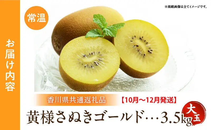 【先行予約】黄様さぬきゴールド3.5kg(大玉)【香川県共通返礼品】|キウイ フルーツ デザート 果物 ゴールドキウイ 甘み 贈り物 贈答 旬 旬の果物 旬のフルーツ おすすめ 人気 特産品 果肉 季節の果物 季節 グルメ 生鮮食品 お裾分け 香川県 三木町|_mk025-004