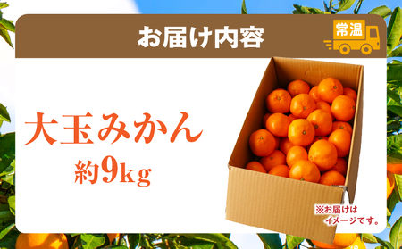 【先行受付】大玉みかん約9kg | 大玉みかん 大玉 みかん ミカン 蜜柑 オレンジ 柑橘 柑橘系 果物 フルーツ 青果 おすすめ お取り寄せ ギフト 香川県 三木町 |_mk006-036
