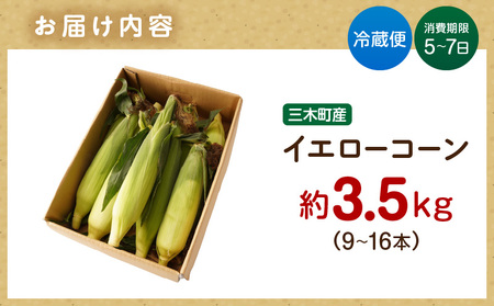 三木町産　イエローコーン　約3.5kg | うもろこし 野菜 コーン イエローコーン 旬の野菜 旬 季節の野菜 季節 贈答 贈り物 ギフト プレゼント おすそ分け グルメ お取り寄せ 人気 おすすめ 特産 特産品 生鮮食品 香川県 三木町 |_mk006-040