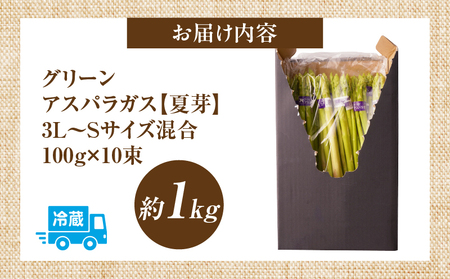 【先行受付】【夏芽】グリーンアスパラガス サイズ混合約1kg | グリーンアスパラガス アスパラガス アスパラ 夏芽 おすすめ 混合 シャキシャキ 野菜 冷蔵 新鮮 新鮮野菜 香川県 国産 三木町 おすすめ |_mk006-003