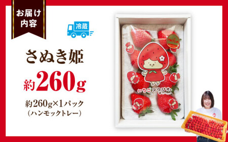 超高級大粒いちご　極甘さぬき姫260g×1パック(ハンモックトレー) | いちご 大粒 高級 さぬき姫 果物 フルーツ おすすめ 旬 イチゴ 季節 旬の果物 ギフト パック 果実 贈り物 デザート 人気 果肉 生鮮食品 国産 冷蔵 香川県 三木町 |_mk165-001
