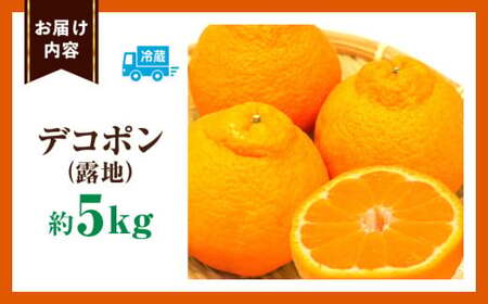 デコポン(露地)　5kg | デコポン みかん フルーツ 果物 旬 柑橘 デザート お裾分け 旬 旬の果物 おすすめ 人気 デザート 生鮮食品 果実 お取り寄せ 贈答用  贈り物 柑橘類 季節 季節の果物 柑橘系 香川県 三木町 |_mk165-007